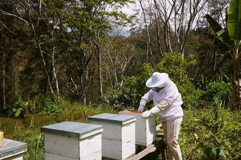 Nadia from Fairtrade tending to bees