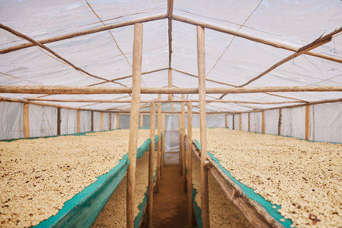 Raised drying bed