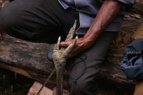 A cassowary bird's foot in a man's hand