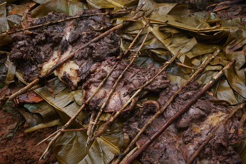 Cassowary birds cooked on banana leaves