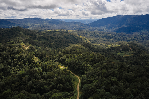 Aerial shot of PNG Highlands