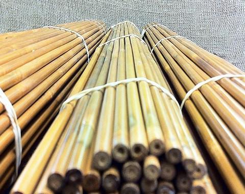 Bamboo Arrow shafts The Longbow Shop