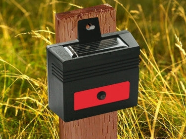 Nite Guard Solar™ Predator Detector (Set of 4)