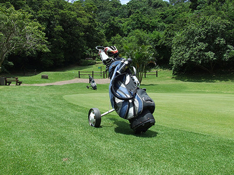 golf bag filled with golf clubs standing in a green golf course