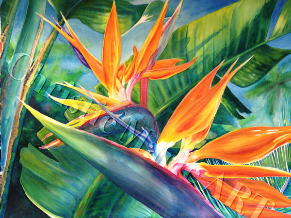 Original Large Framed Hawaiian Bird Of Paradise Watercolor Art Paintin Christie Marie Art