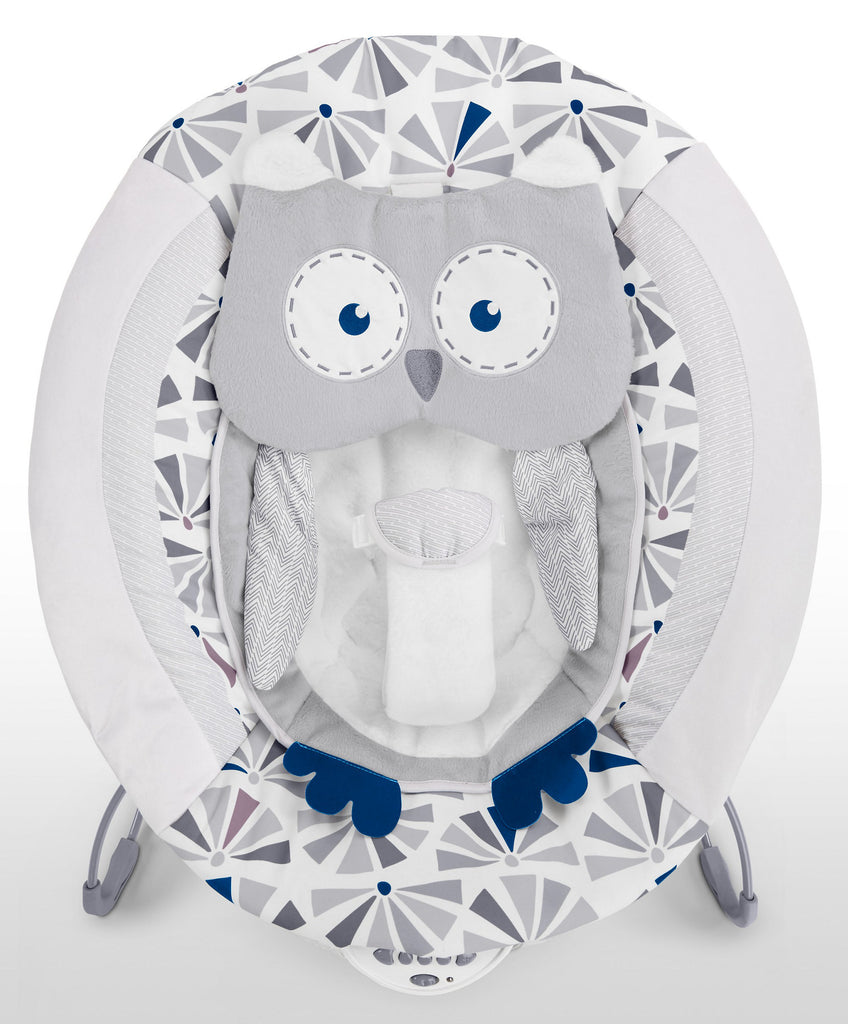 fisher price deluxe bouncer owl love