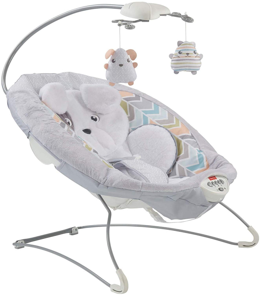 fisher price puppy bouncer