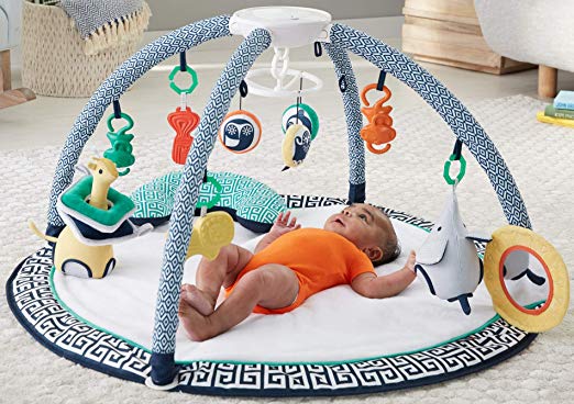 jonathan adler play gym