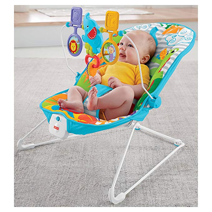 fisher price animal bouncer