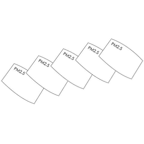 PM2.5 Replacement Filters Pack of 5