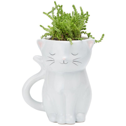 Sweetie Cat Planter Pot