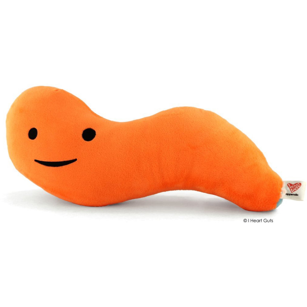 Kidney Plush By I Heart Guts | Outer Layer