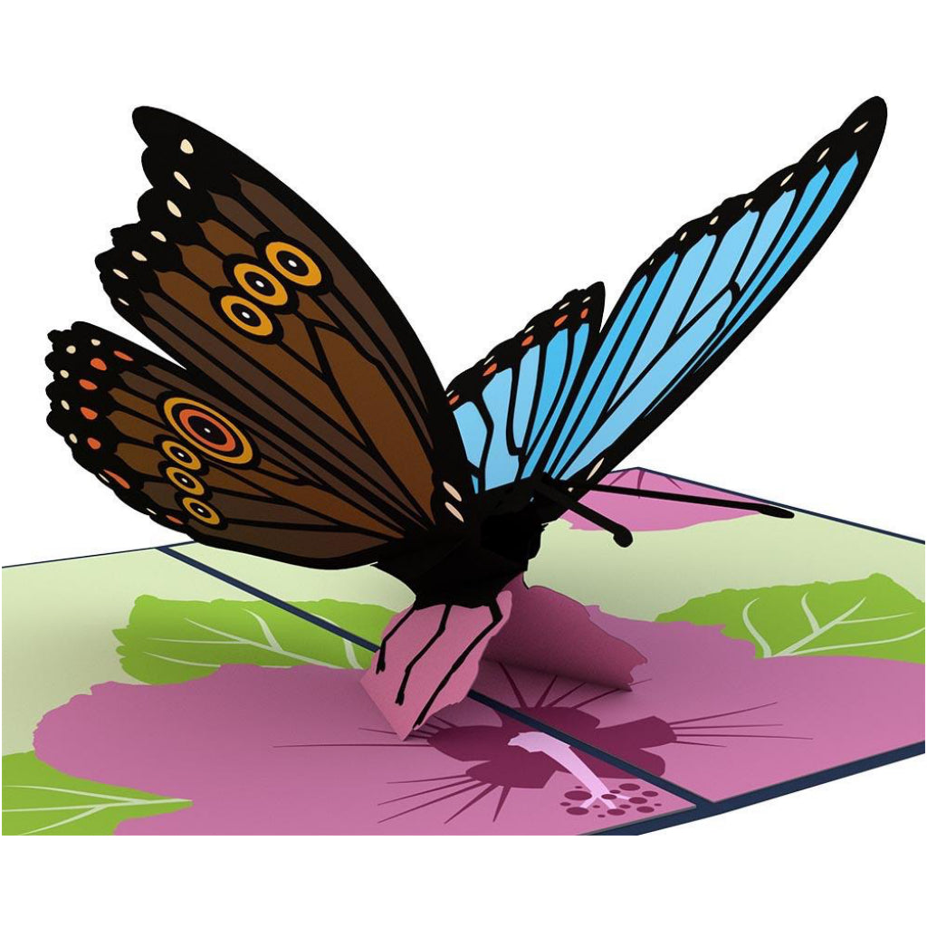 Download Blue Morpho Butterfly 3d Pop Up Card By Lovepop Canada