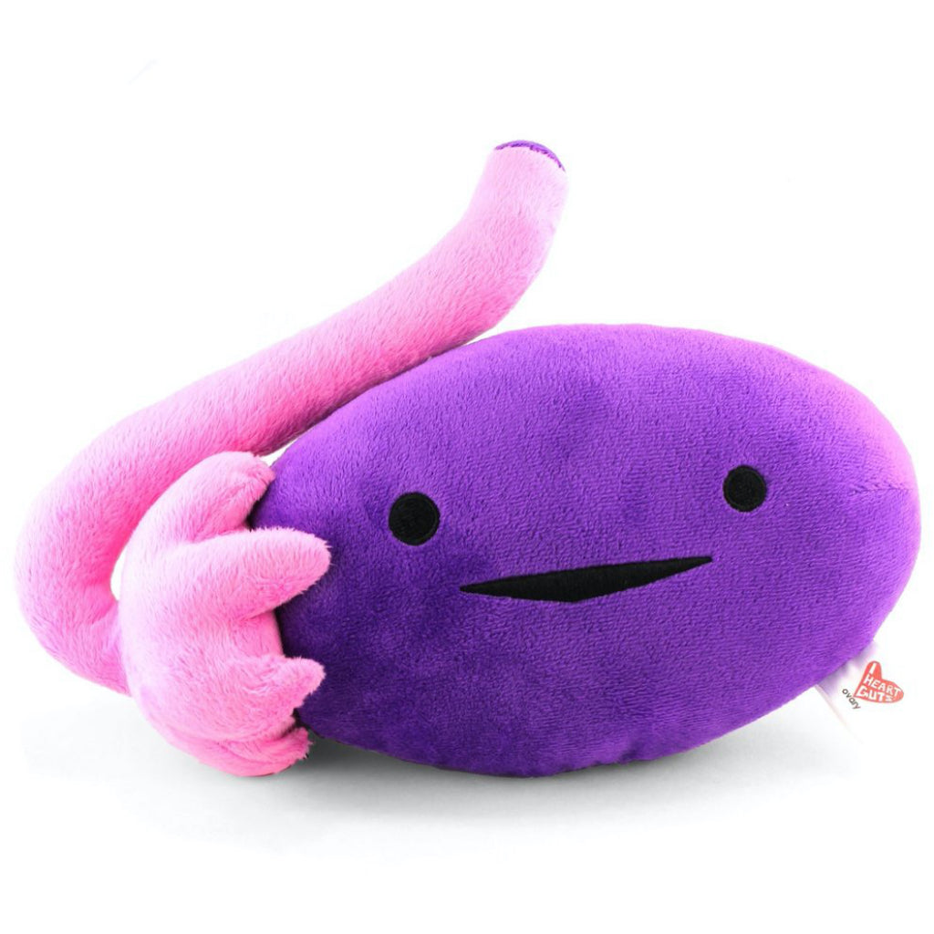 Vagina & Vulva Plush With Zipper Pouch | I Heart Guts – Outer Layer