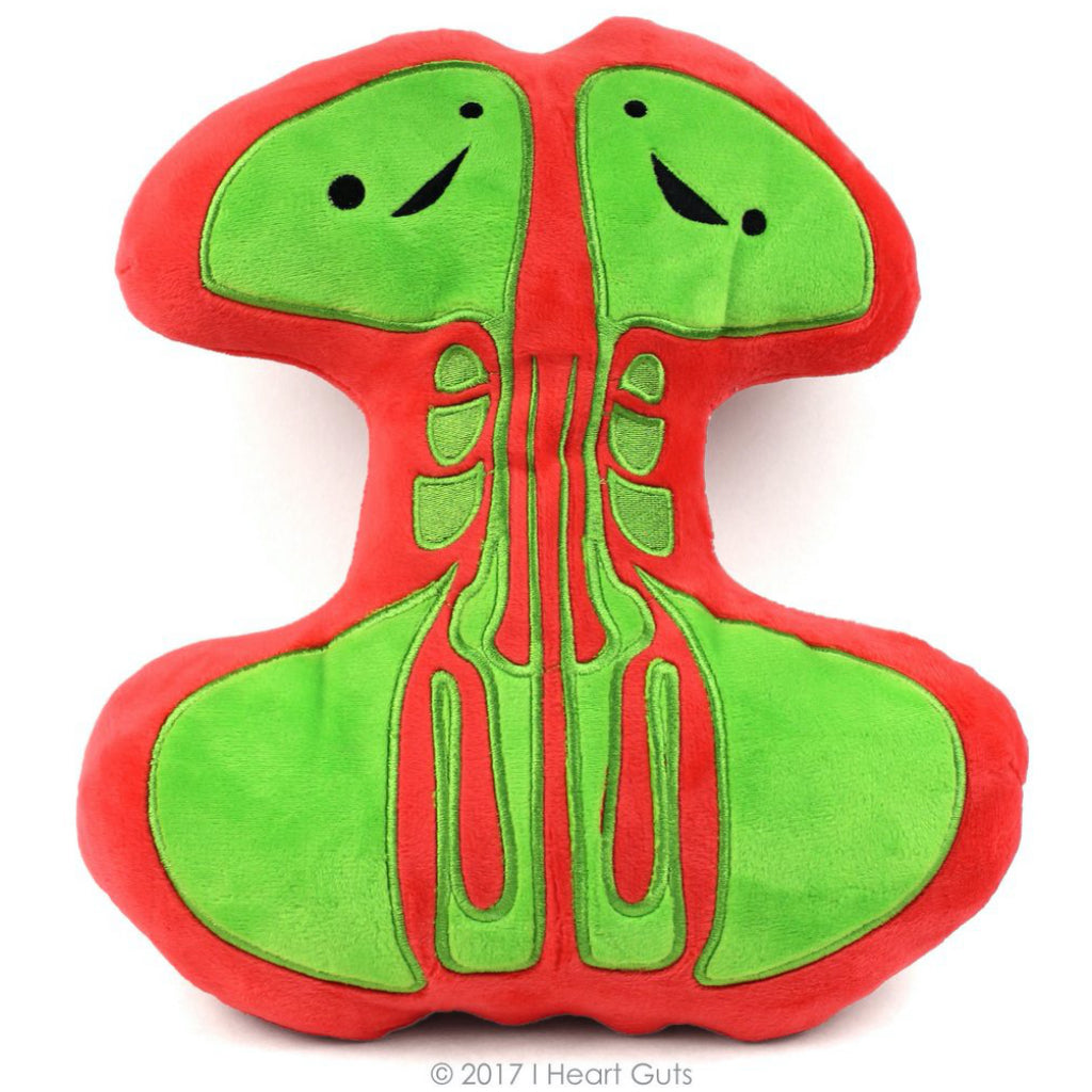 Kidney Plush By I Heart Guts | Outer Layer