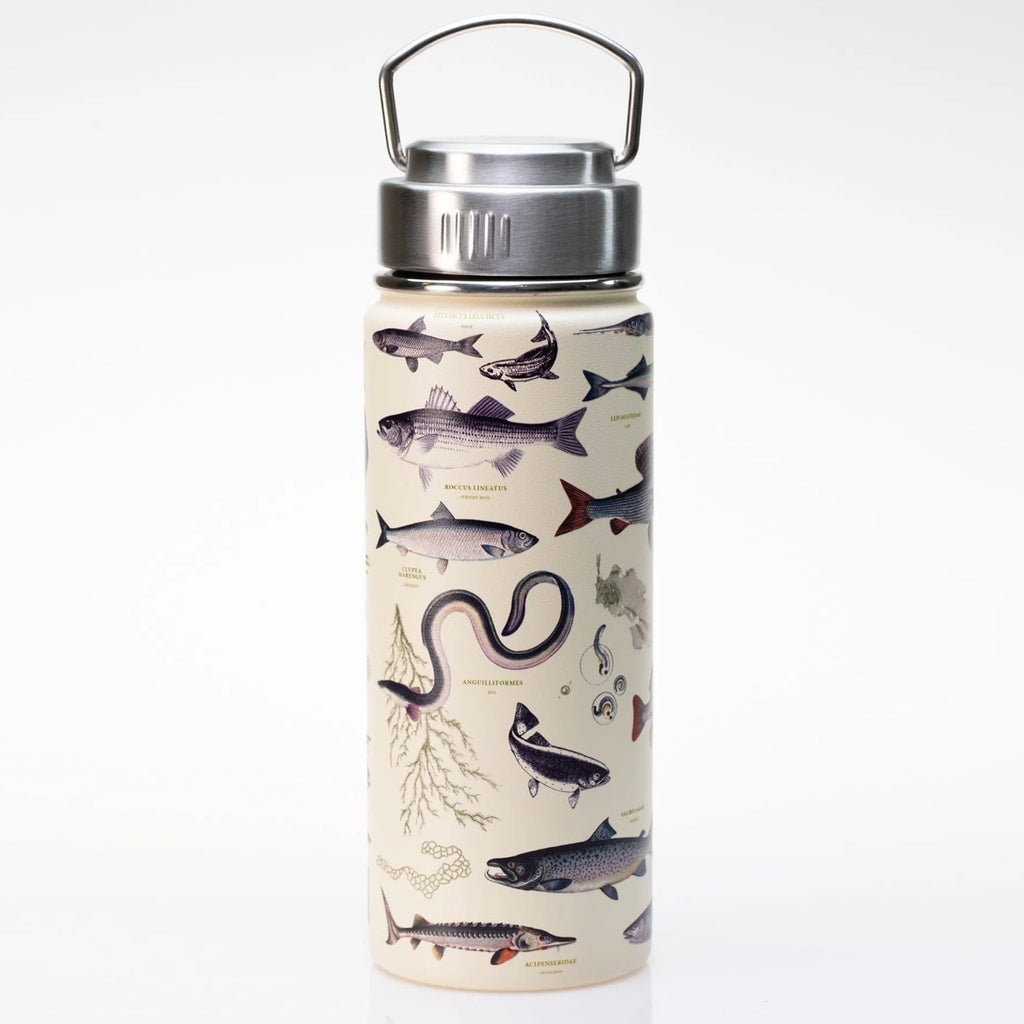 Kikkerland Fish Flask, Stainless Steel