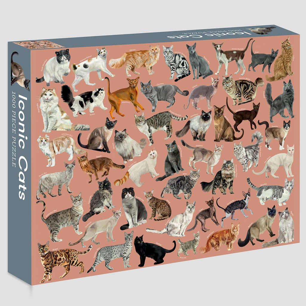 1000-Piece Puzzle - Cat Person - by Piecework