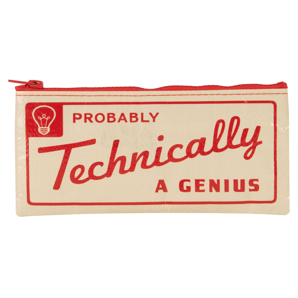 https://cdn.shopify.com/s/files/1/1531/4421/products/probably-a-genius-pencil-case_1024x1024.jpg?v=1665580424