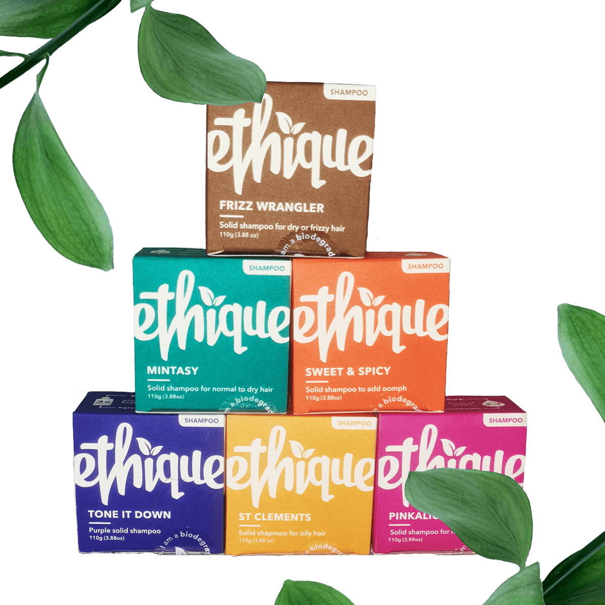 Ethique Shampoo Bars – Sustainability Trust