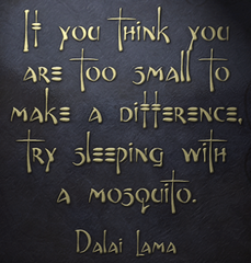 Dalai Lama quote: If you think you are too small to make a difference, try sleeping with a mosquito.