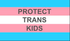 Protect Trans Kids written on Trans Flag