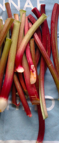 Fresh rhubarb stalks