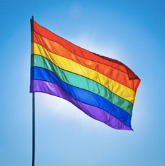 Pride Flag waving in the sun