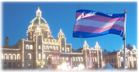 Legislature Building of British Columbia in Victoria BC, with a Transgender flag