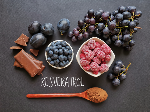 Resveratrol surrounded by blueberries raspberries and grapes