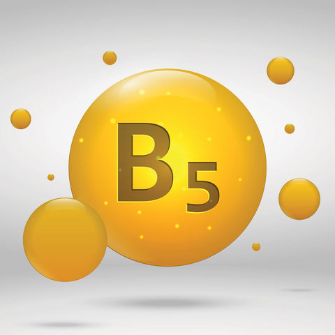 the word B5 in a yellow circle