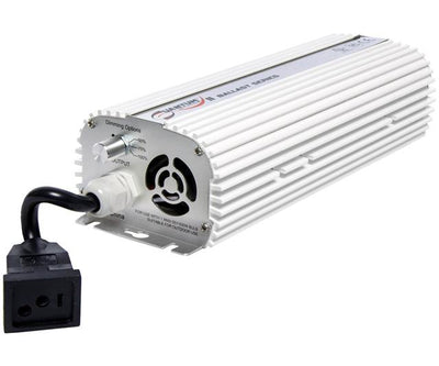 Hortilux 600w clearance blue metal halide