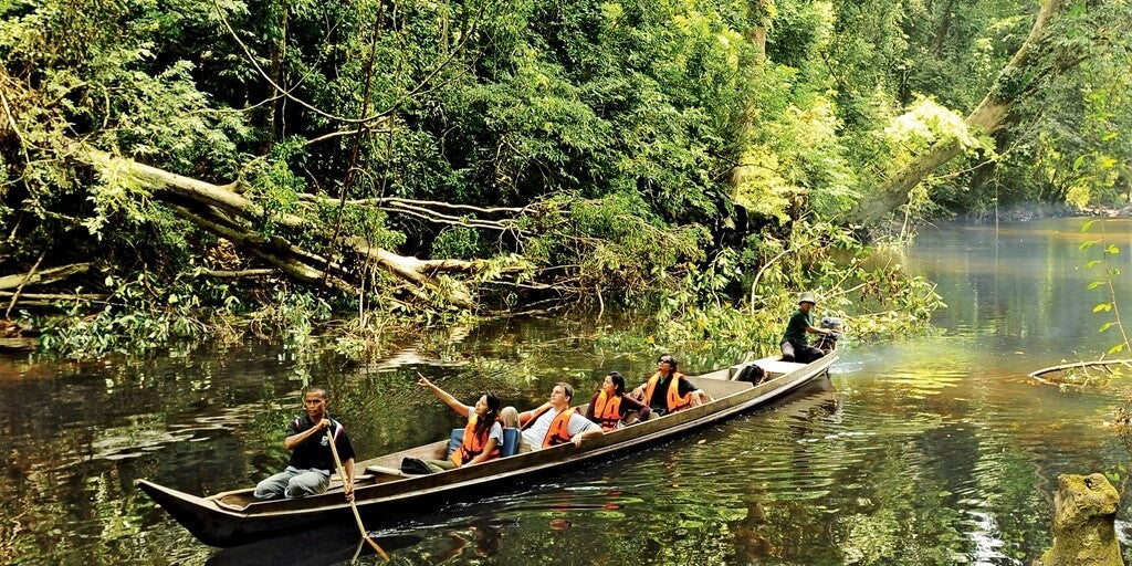 Taman Negara - One of the World's Oldest Tropical Rainforest