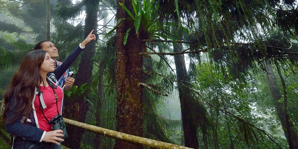 Kinabalu National Park - Malaysia's Primordial Rainforest