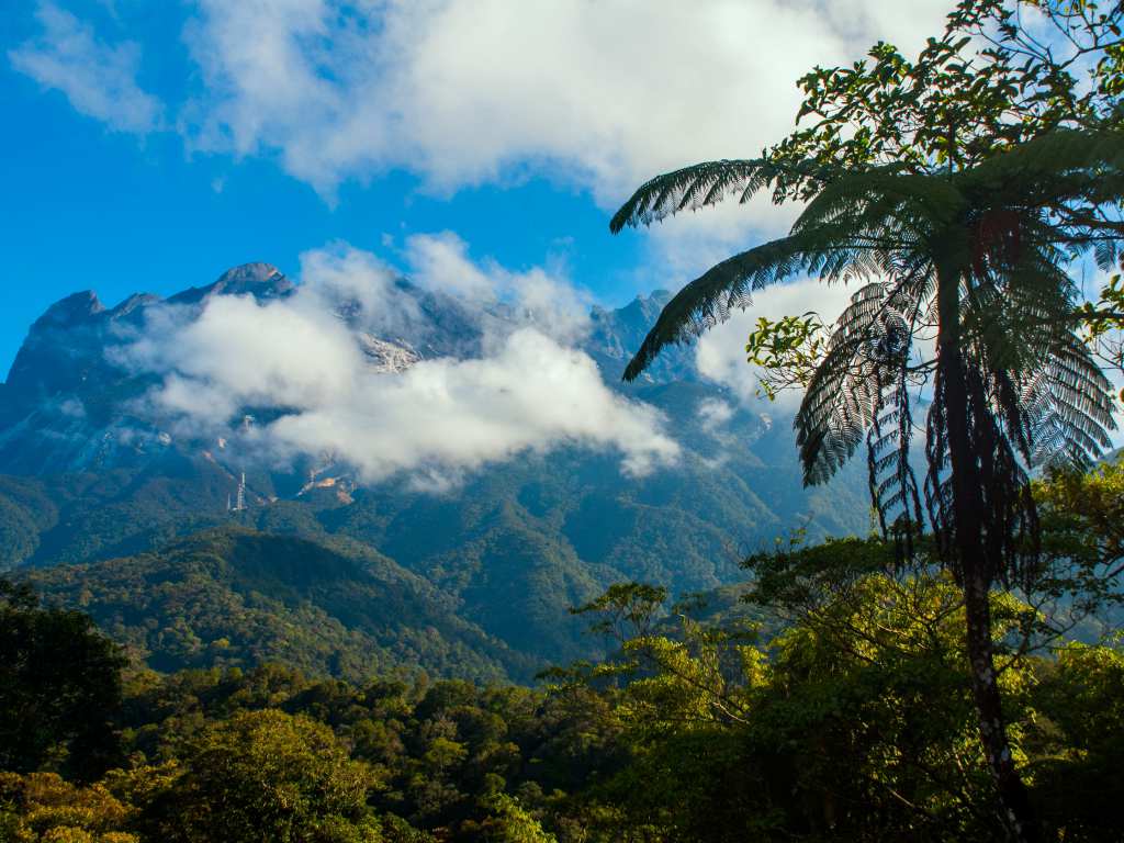  Kinabalu Park