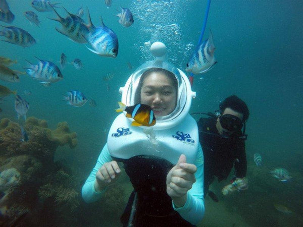 Cham Island Underwater Sea-Walking Adventure  Vietnam 