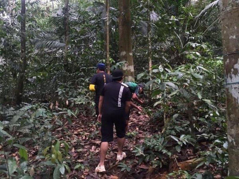 jungle trekking in malay