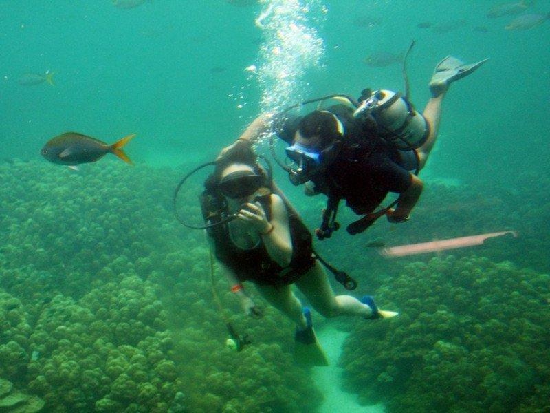 Langkawi Coral Snorkelling and Intro Dive (Depart-Penang) | Malaysia