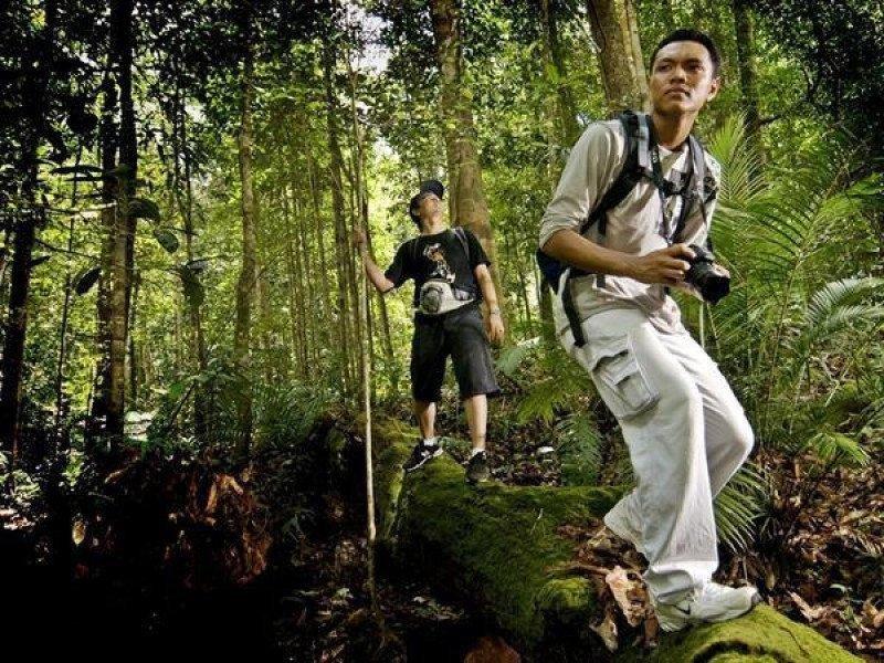 Kubah National Park Adventure (2Days/1Night) | Malaysia ...