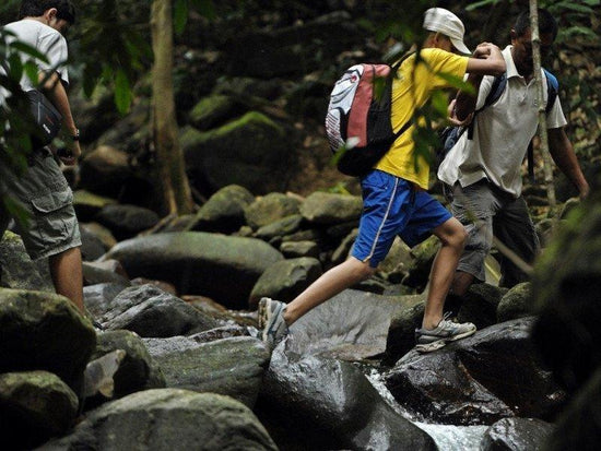 Langkawi Jungle Trekking Adventure | Malaysia | Adventoro