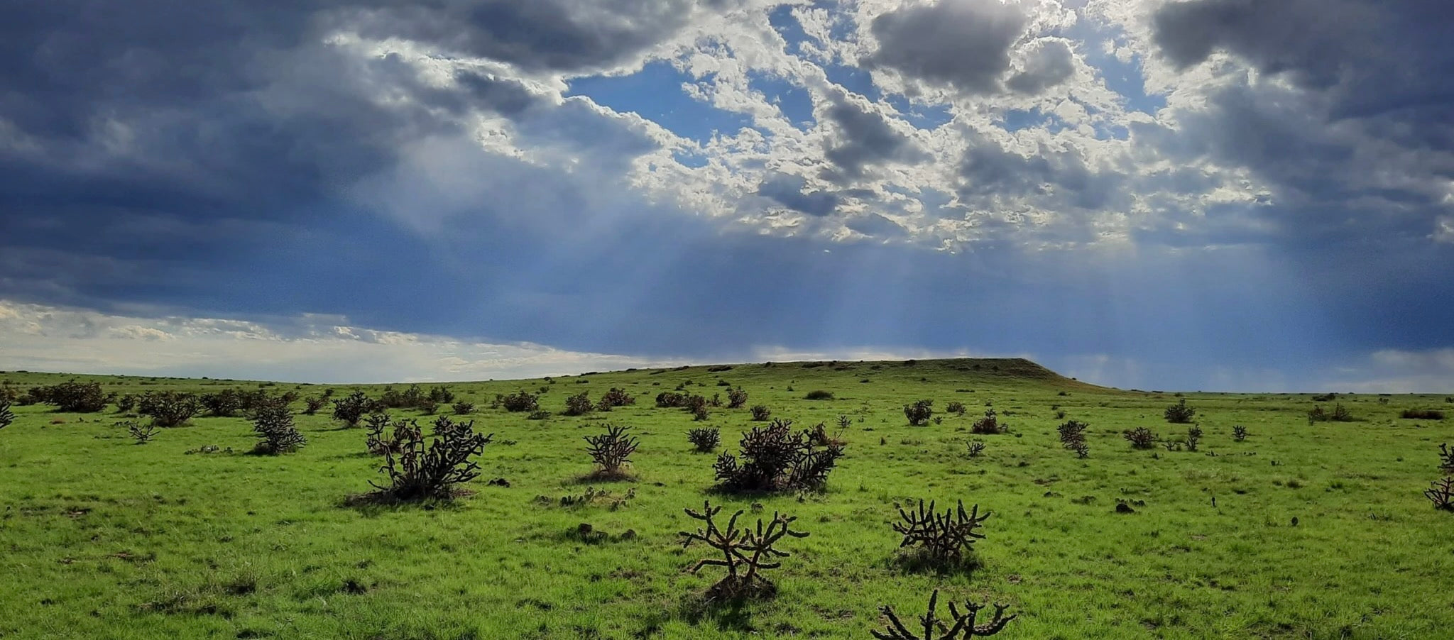 Image of grassland in Bent County, Colorado with sun seeping through clouds.  
