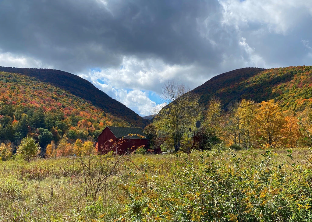 Fall image of a small red barn with two mountains in the back with patches of colored trees.   