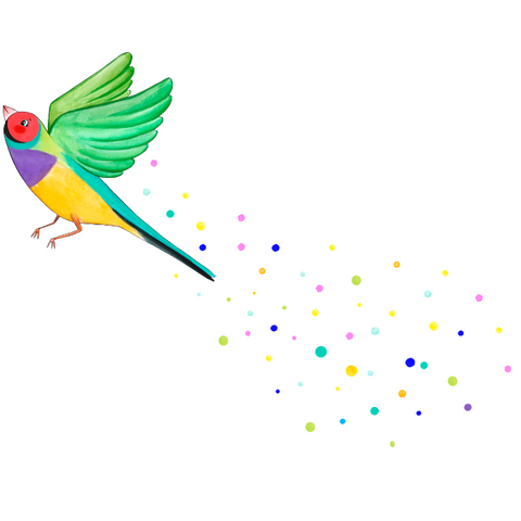 Goldie the gouldian finch bird flying