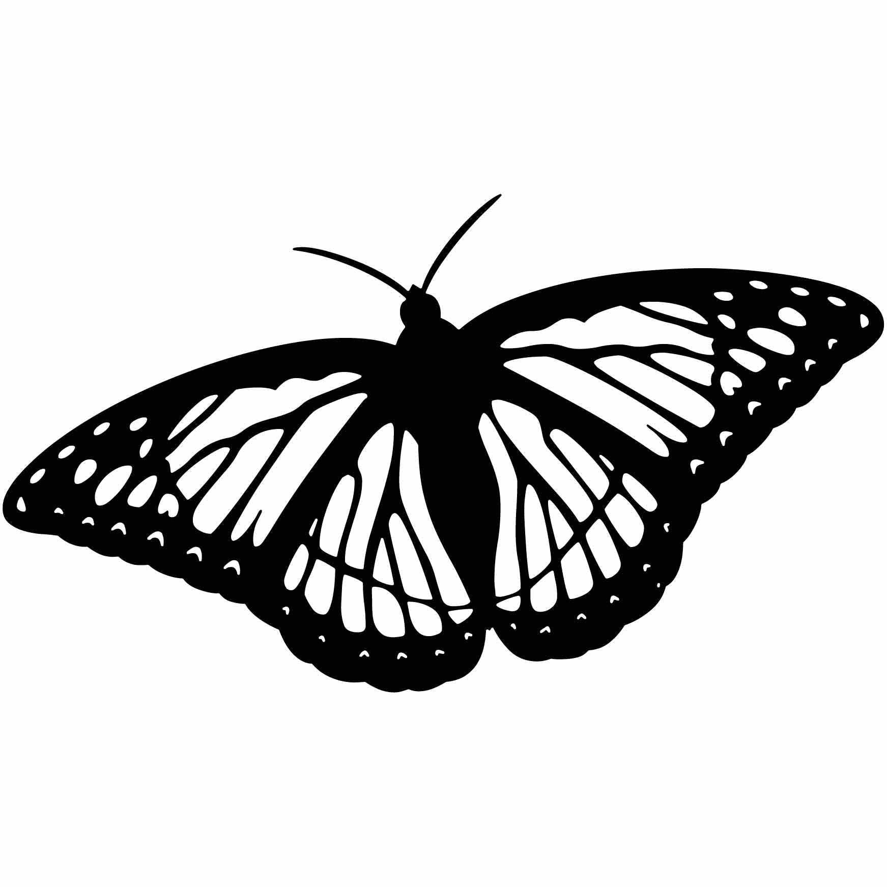 Бабочка Монарх контур