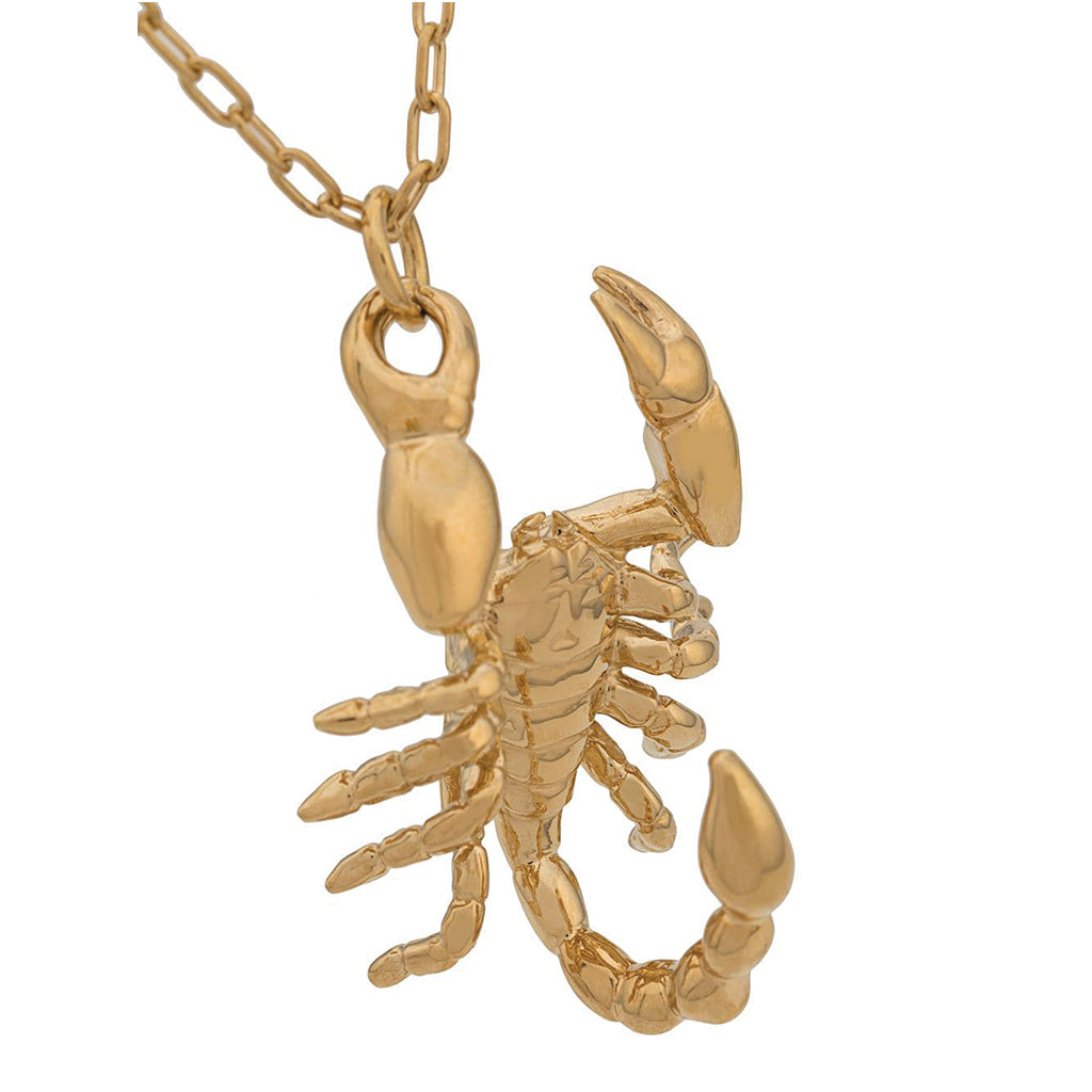 Ambush Jewellery Scorpion Charm Necklace Gold SALE – T0K10