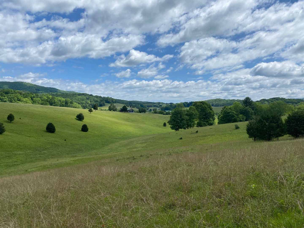 Ian Kosten is a thru-hiker currently hiking the Appalachian Trail