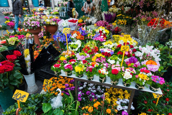 Factors to Consider When Choosing a Floral Flower Shop