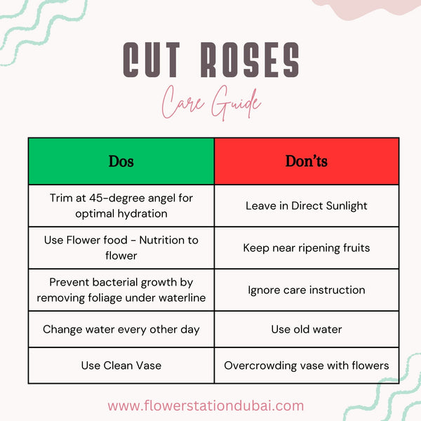 Rose Care - Dos & Don'ts