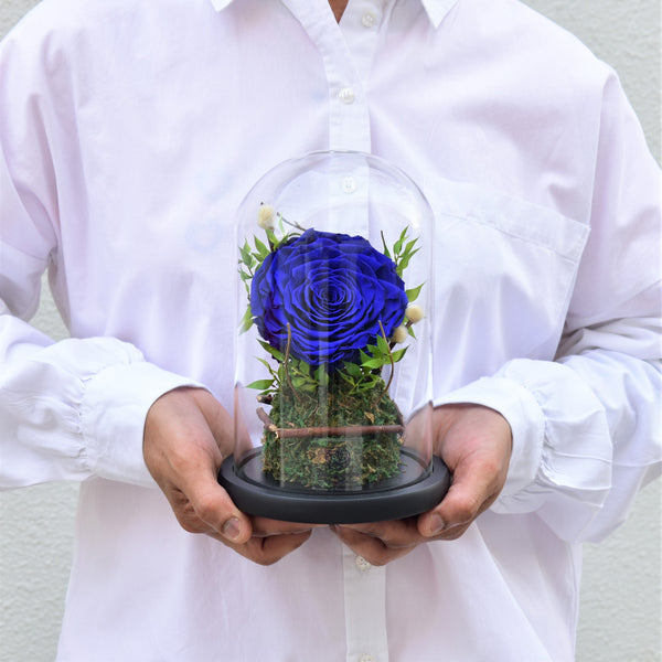 blue infinity roses in glass dome