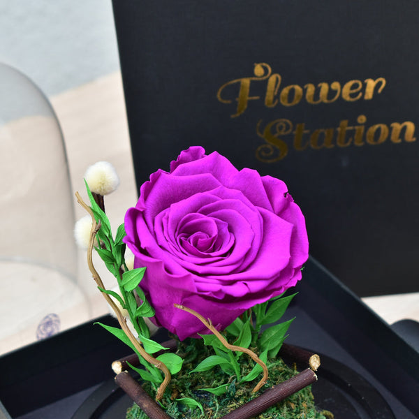 Forever Roses: The Perfect Gift for Every Occasion