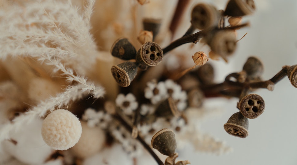 Style Your Home With Dried Flowers | dried flower dubai 